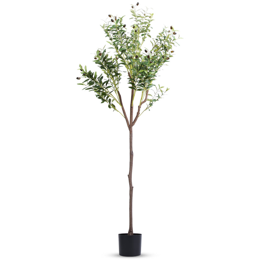 1Pc 5.9FT Artificial Olive Tree Tall Fake Olive Plant Faux Potted Olive Tree With Lush Olive Branches And Fruits With Black Planter Pot For Modern Home Office Living Room Shop Cafe