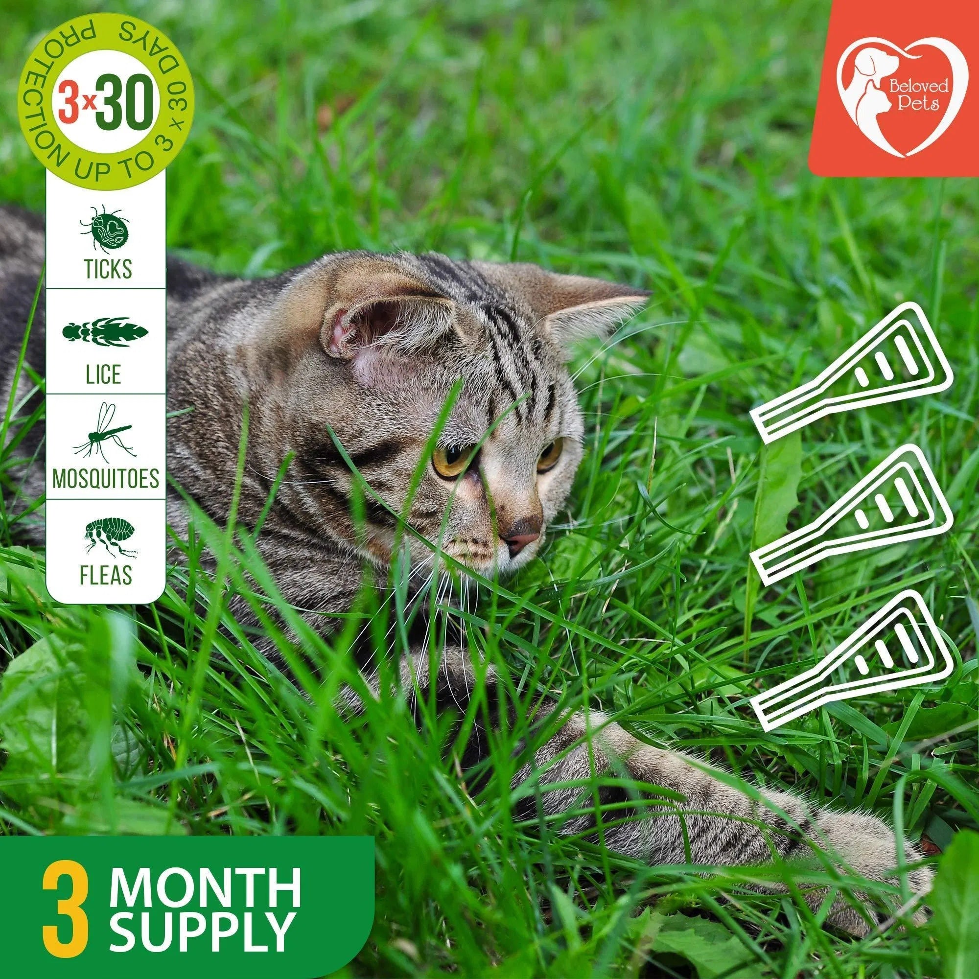 Flea And Tick Prevention For Dogs Cats Rabbits Natural Flea Treatment Home Pest Control Topical Flea Mosquito Repellent For Puppy Kitten 3 Drops For Small And Large Pet