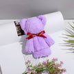 Little Bear Towel With Hand Gift Kindergarten Gift