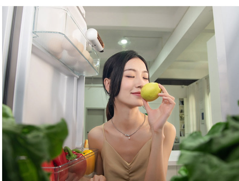 Refrigerator Deodorizer Sterilization Odor Preservation