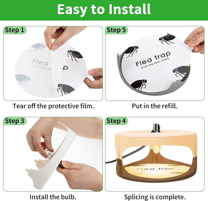 Creative Simple Pet Household Flea Trap