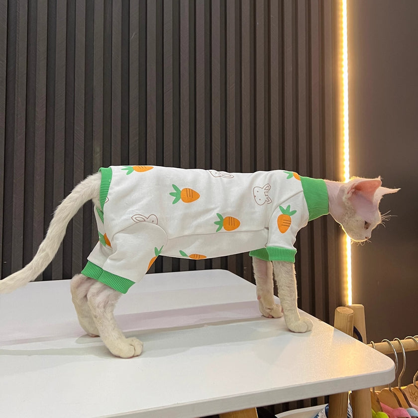 Spring And Autumn Hairless Cat All-inclusive Anti-lint Sleeved Cat Clothes