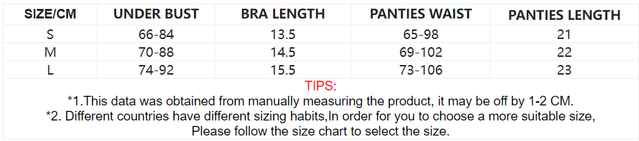 Romantic Flower Embroidered Bra Underwear Set