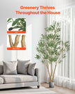 240cm Artificial Olive Tree With Black Pot, Tall Fake Tree With Natural Wood Trunk & Realistic Green Leaves And Fruits, Indoor Faux Plant For Home, Office, Living Room, Corner Decor