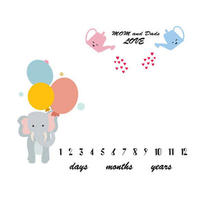 Baby Milestone Blanket Photo Prop