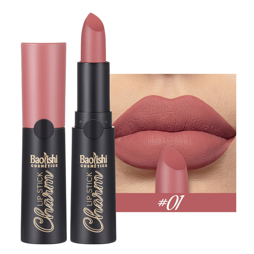 Matte Lipstick Matte Surface Easy To Color Long-lasting Moisturizing