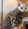 Fluffy Leopard Hairless Cat Clothes Short Plush Cat Fur