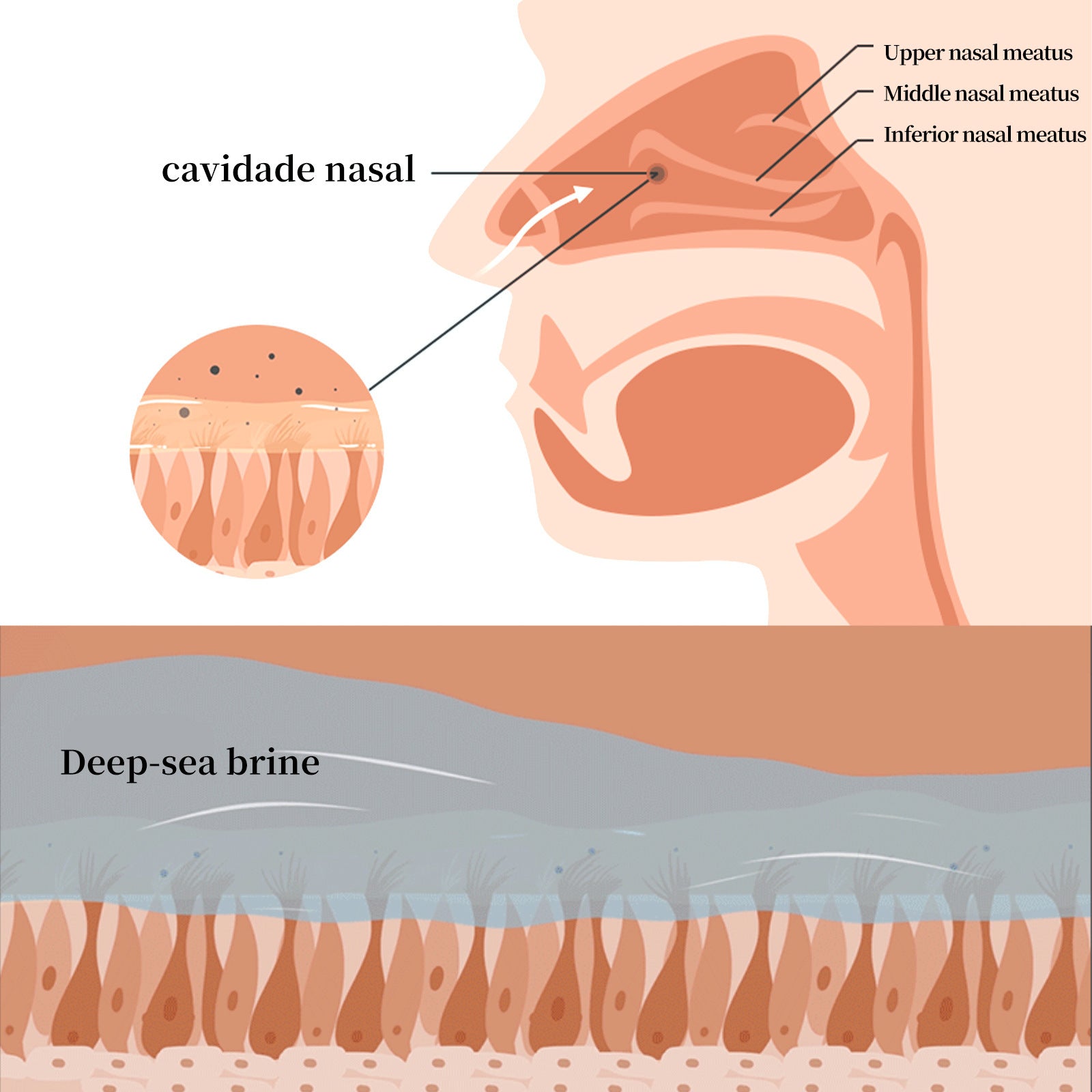 Nasal Itching Nasal Congestion Runny Nose Cleaning Nasal Comfort Ventilation Spray