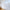 Modern Simple Thickened Solid Thin Window Gauze