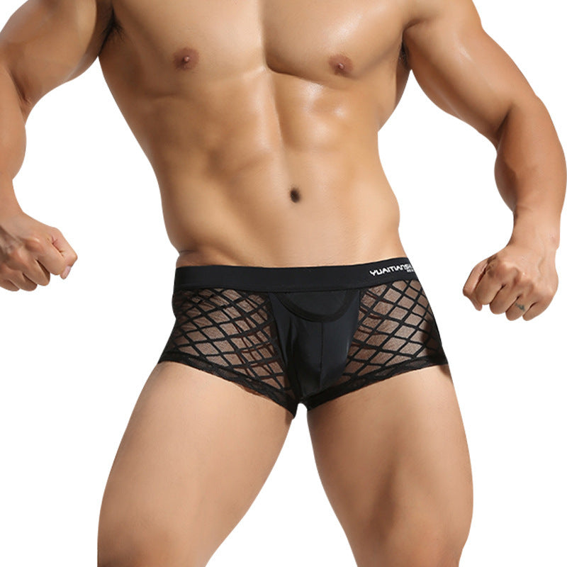 Men's Underwear Breathable Sexy Nylon Mesh Underwear Youth Boxer Briefs