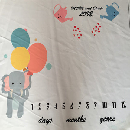 Baby Milestone Blanket Photo Prop