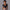 Fitness Double Layer Yoga Clothing Top Women
