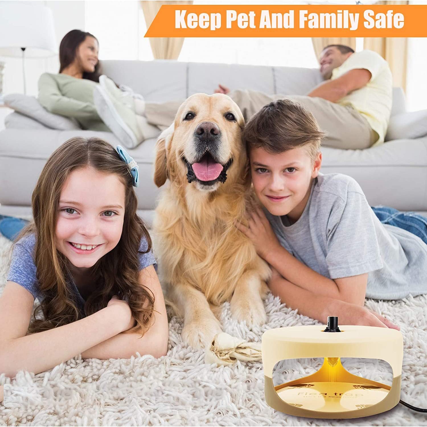 Pet Household Flea Lamp Without Pesticides