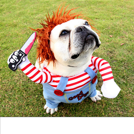Cat dance lion pet funny dog cat funny costume