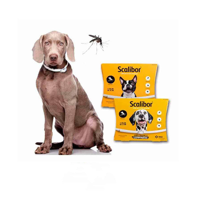 Dog Cat Flea Deworming Collar Flea and Tick Free