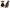 Dog Clothes Trendy And Handsome Small And Medium-sized Dog Pets