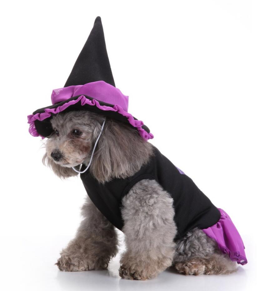 Unique Dog Spider Costume