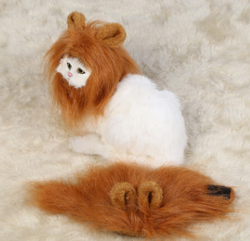 Funny Pet Hat For Small Dogs Cats Hat Emulation Lion Hair Costume