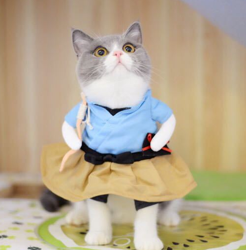 Funny Cat Costume Uniform Suit Cat Clothes  Dress Up