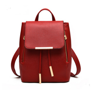 Backpack Bag new fashionista backpack fashion leisure backpack on behalf of a Korean