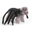 Unique Dog Spider Costume