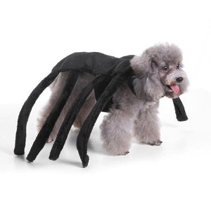 Unique Dog Spider Costume