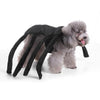 Unique Dog Spider Costume