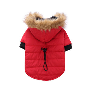 Alpscommerce Winter clothing for pets and dogs