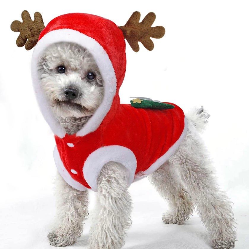 Cat Dog Clothes Small Dogs Santa Costume