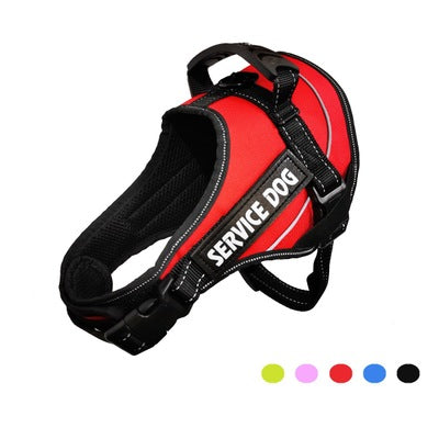 Personalized Harness