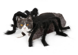 Hot Pet Spider Clothes Puppy Cat Terror Simulation Plush Spider Transforms Party Dress Up