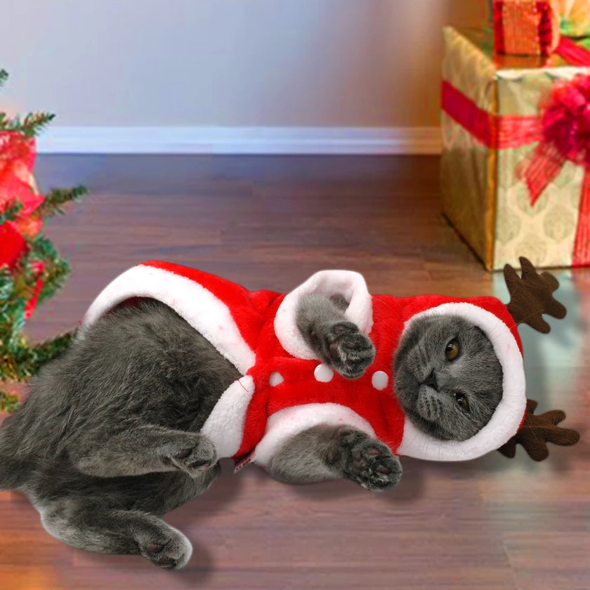 Cat Dog Clothes Small Dogs Santa Costume