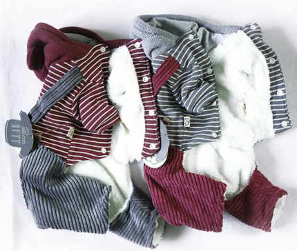 Dog clothes