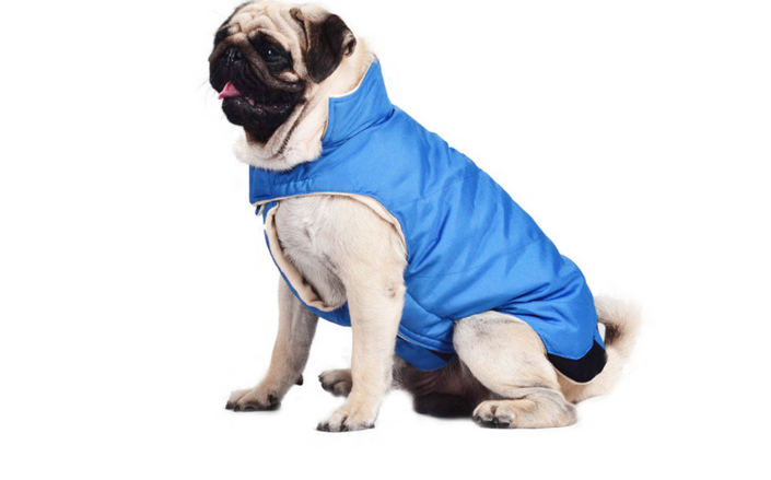 Cotton coat vest dog clothes
