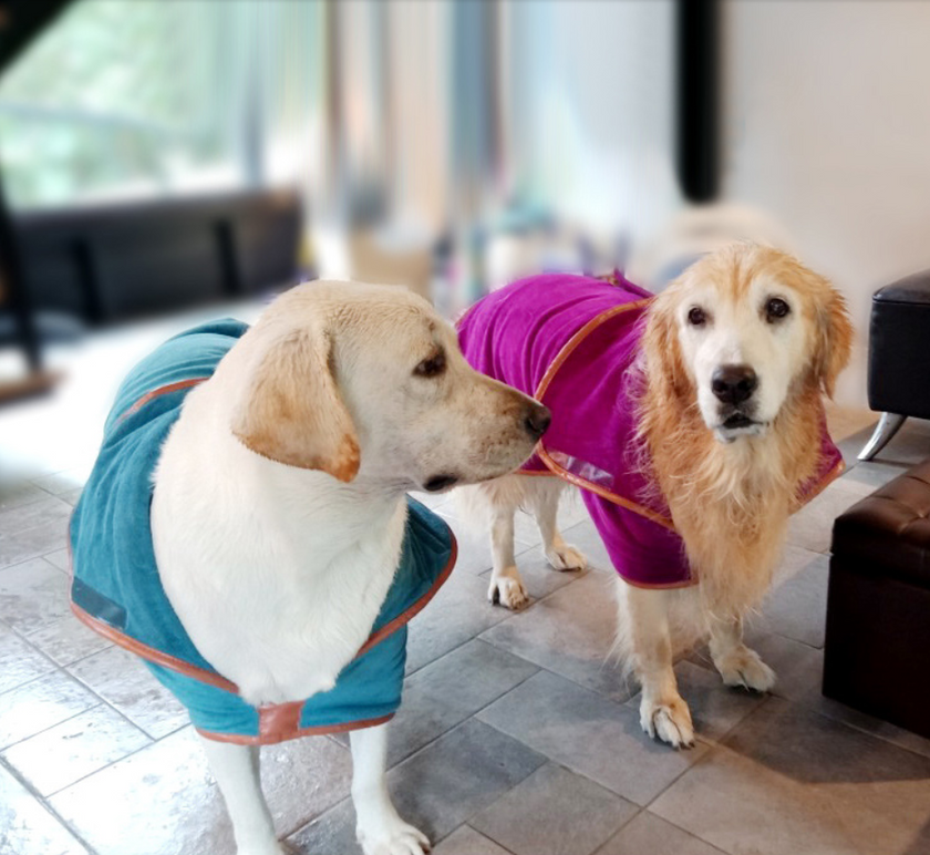 Pet Quick-Drying Absorbent Clothes Towel Bath Towel