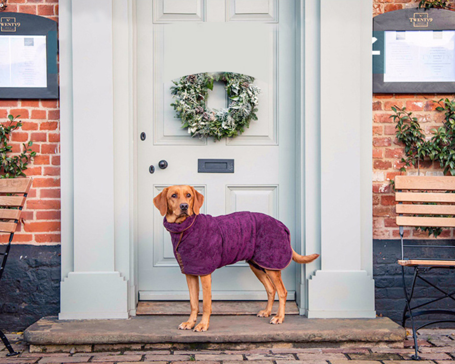 Pet Quick-Drying Absorbent Clothes Towel Bath Towel