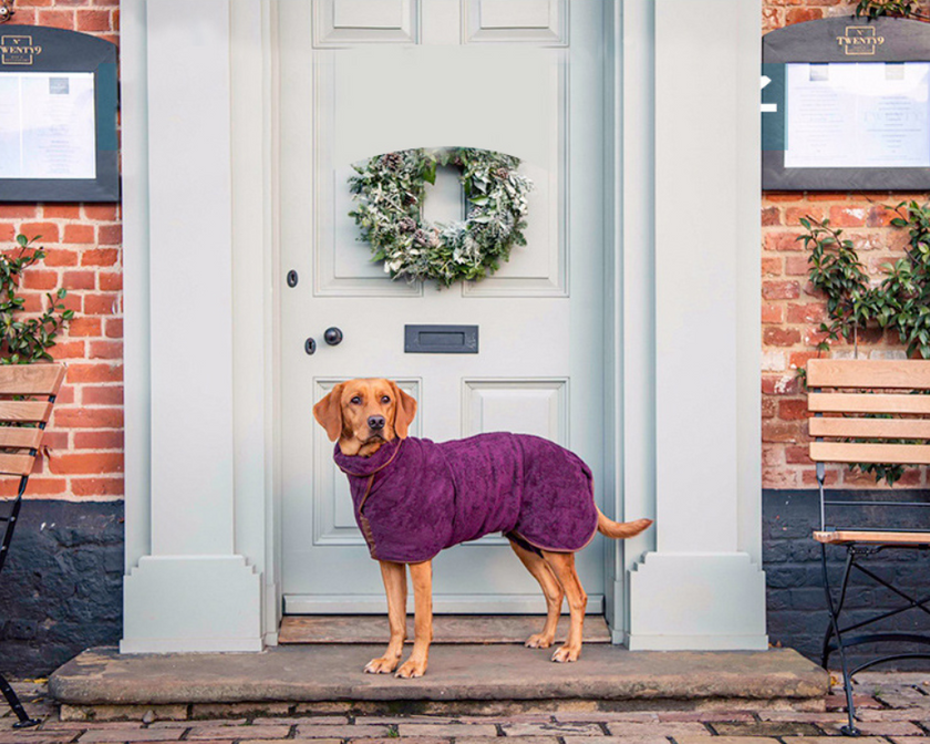Pet Quick-Drying Absorbent Clothes Towel Bath Towel