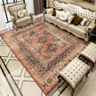 Vintage Bohemian Carpet for Living Room Rectangle Area Rugs