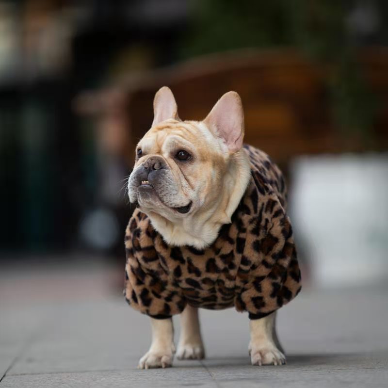 Medium-Sized Dog Clothes Winter Clothes Thickened