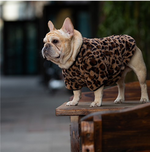 Medium-Sized Dog Clothes Winter Clothes Thickened