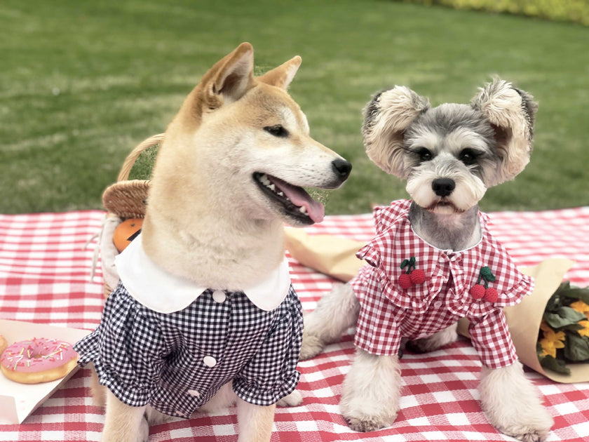 Dog Clothes Small Dog Checkered Shirt Summer Thin