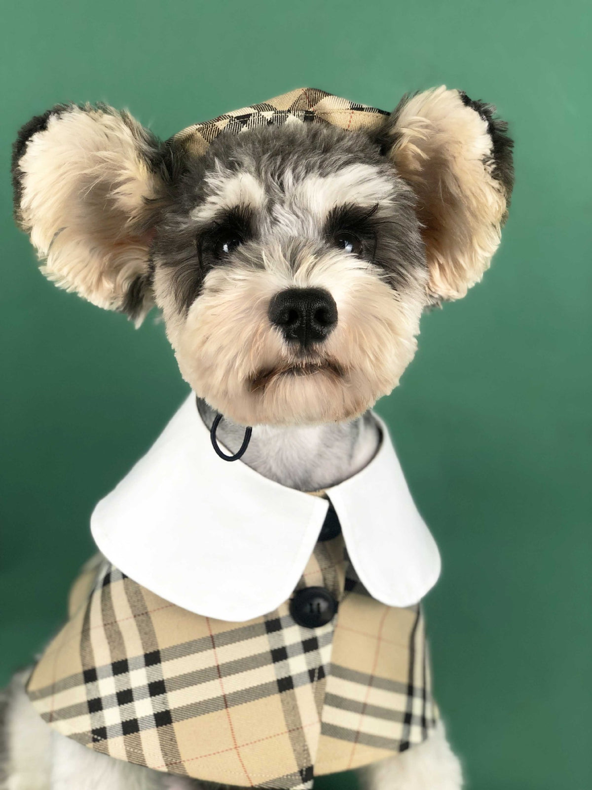 Dog Clothes Spring British Fashion Brand Summer Pet Clothes