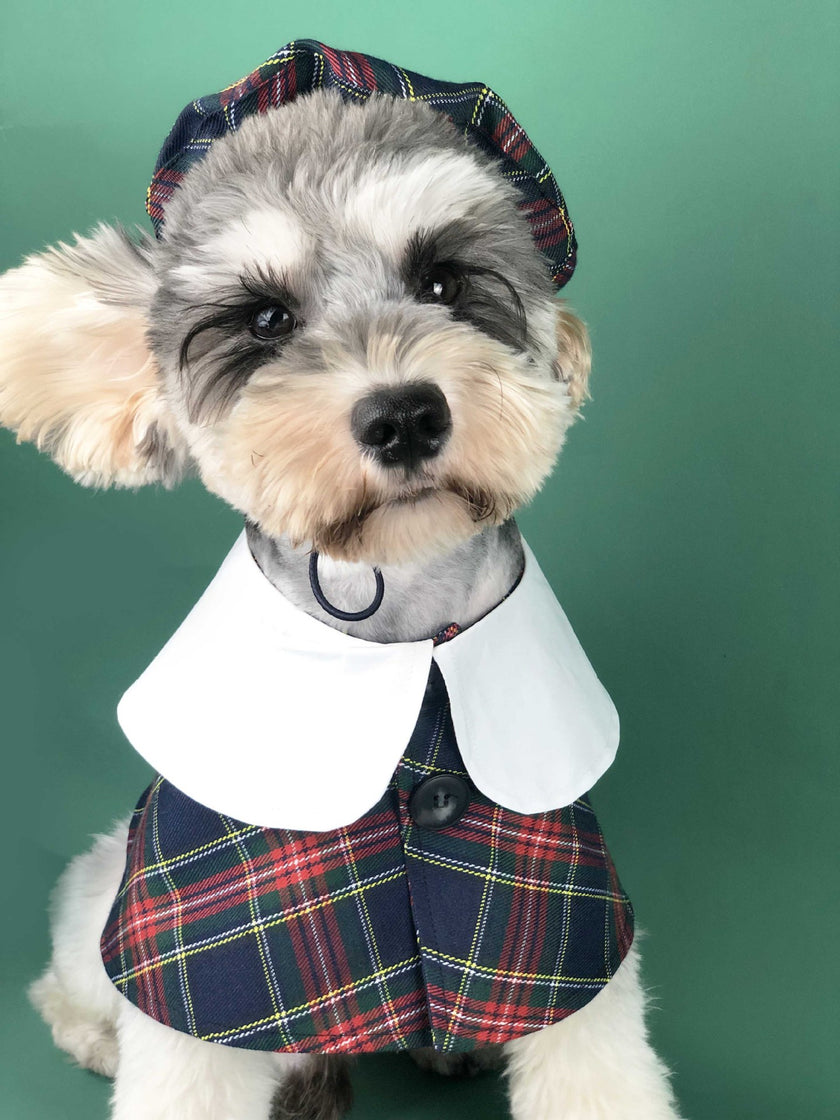 Dog Clothes Spring British Fashion Brand Summer Pet Clothes