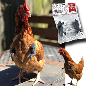 Creative Spoof Pet Props Chicken Arm