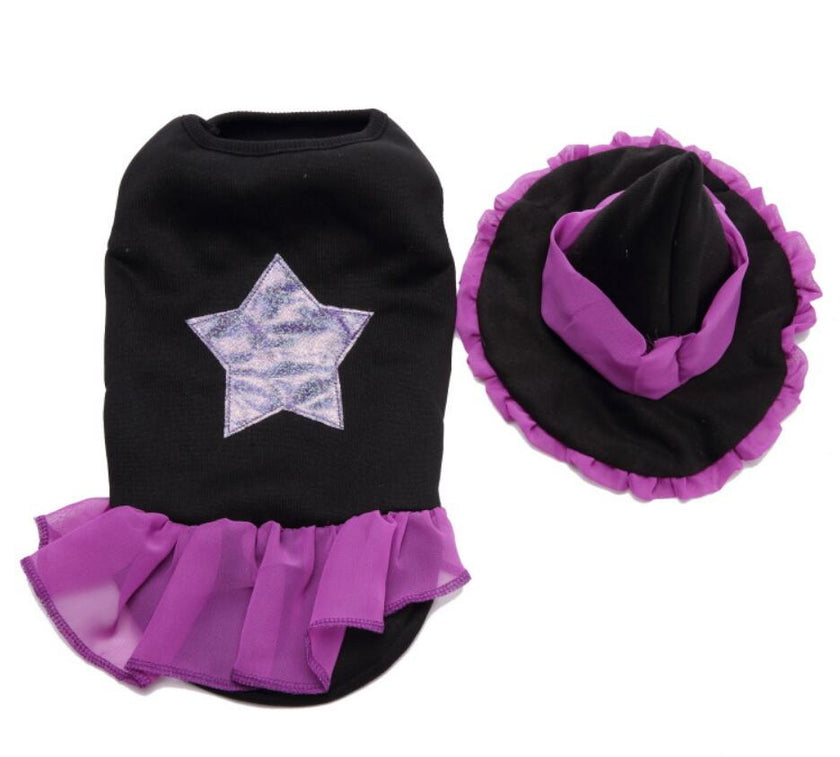 Unique Dog Spider Costume