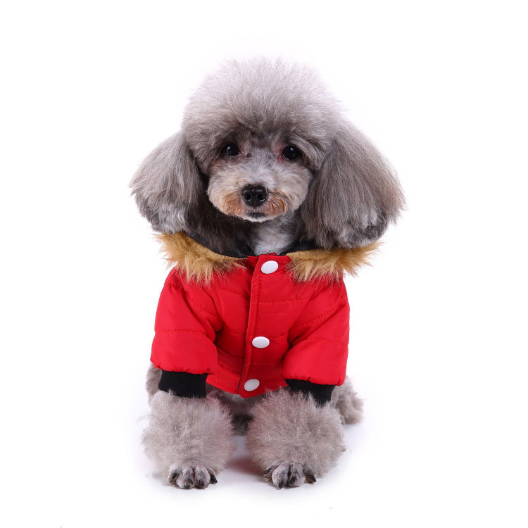 Alpscommerce Winter clothing for pets and dogs