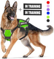 Personalized Pet Harness