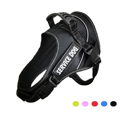 Personalized Harness