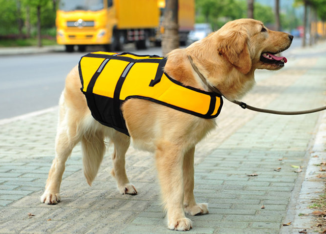 Doggie Life Jacket Vest