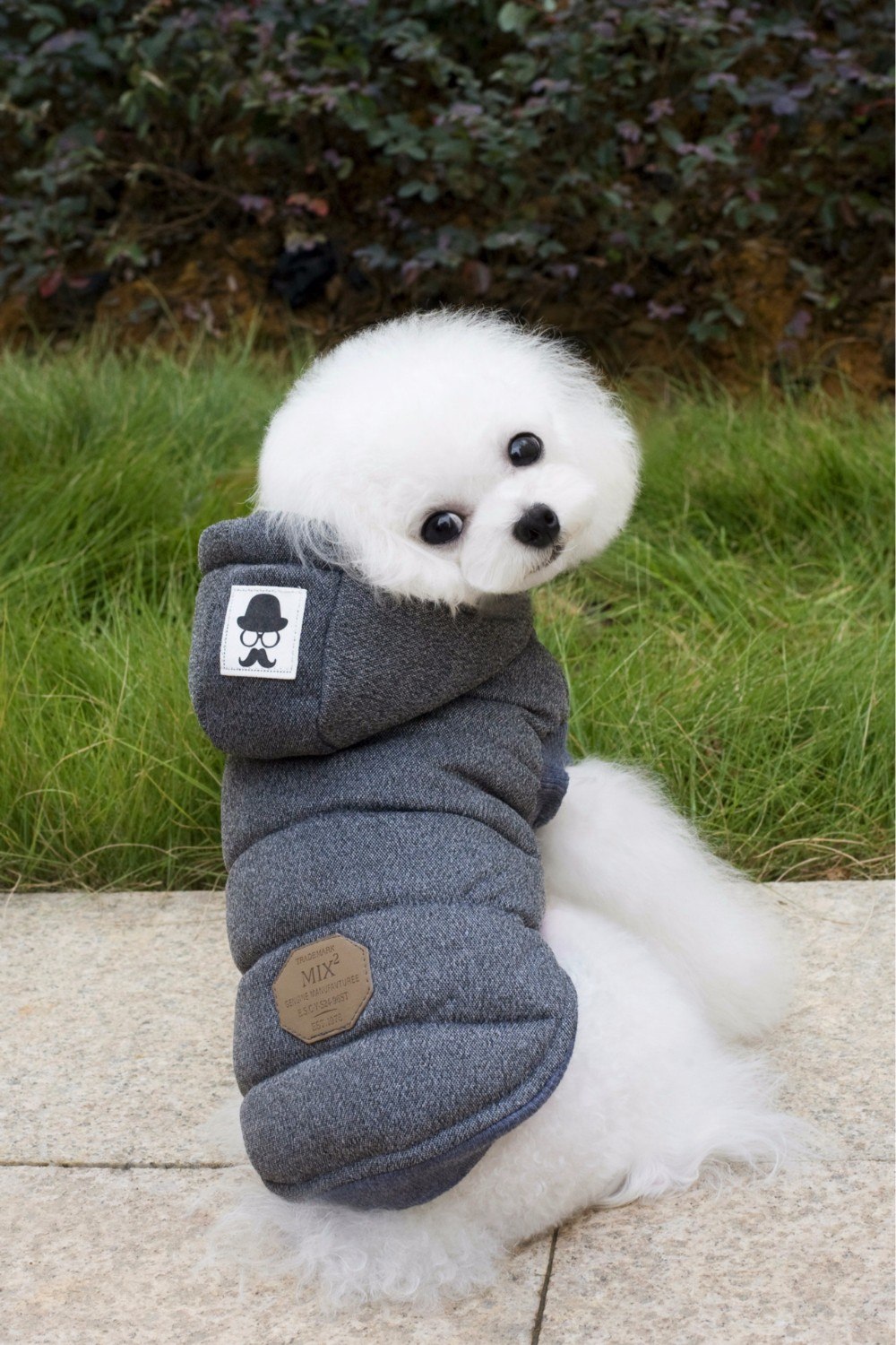 Small Pet Mustache Two-legged Autumn And Winter Coat